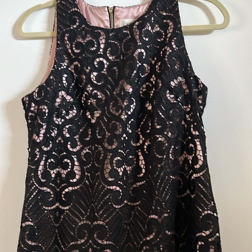 Eliza J Black and Pink Lace Sleeveless Dress